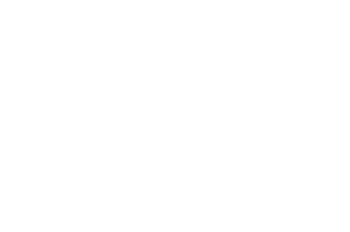 Little Jungle logo