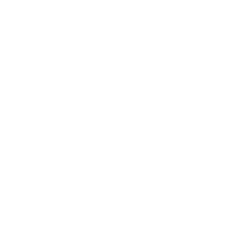 Little Jungle logo