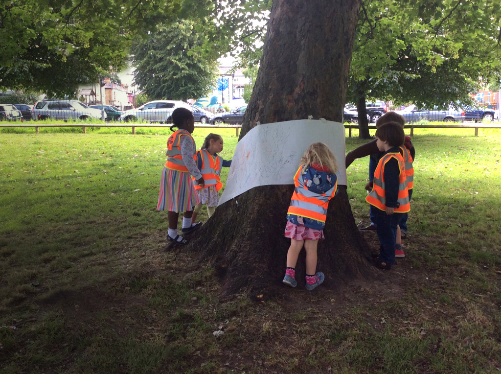 Bark rubbings